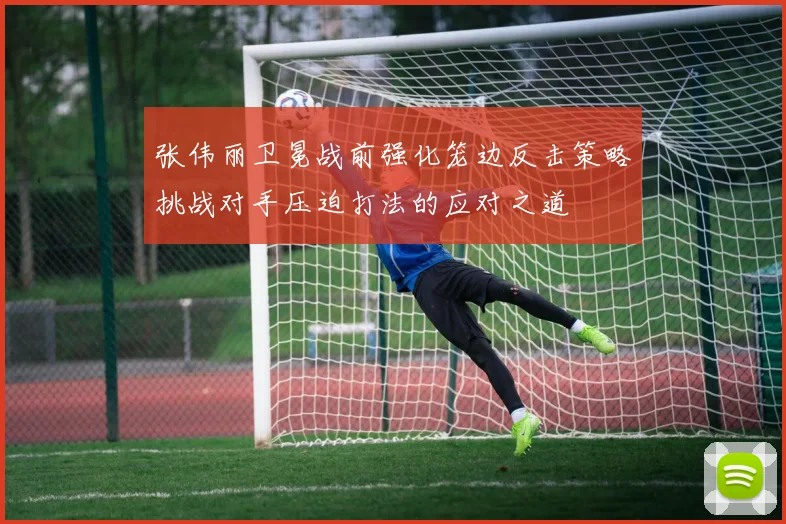 张伟丽卫冕战前强化笼边反击策略挑战对手压迫打法的应对之道